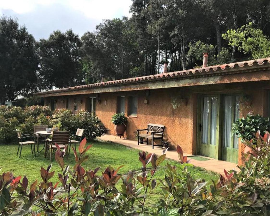Arbúcies Stunning 4-Bed Cottage In Montseny Natural Park מראה חיצוני תמונה